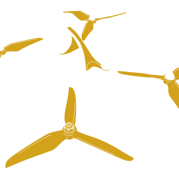 Individuali nuotolinė konsultacija